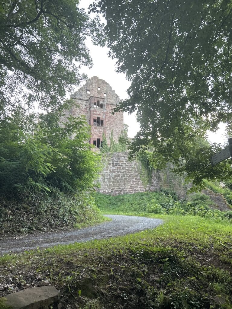 Minneburg Burgruine Neckargerach Erkunde Deutschland1 768x1024