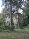 Minneburg Burgruine Neckargerach Erkunde Deutschland4 113x150