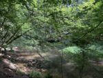 Schwarzachklamm Erkunde DeutschlandIMG 6825 150x113