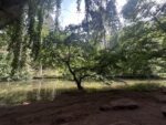 Schwarzachklamm Erkunde DeutschlandIMG 6834 150x113