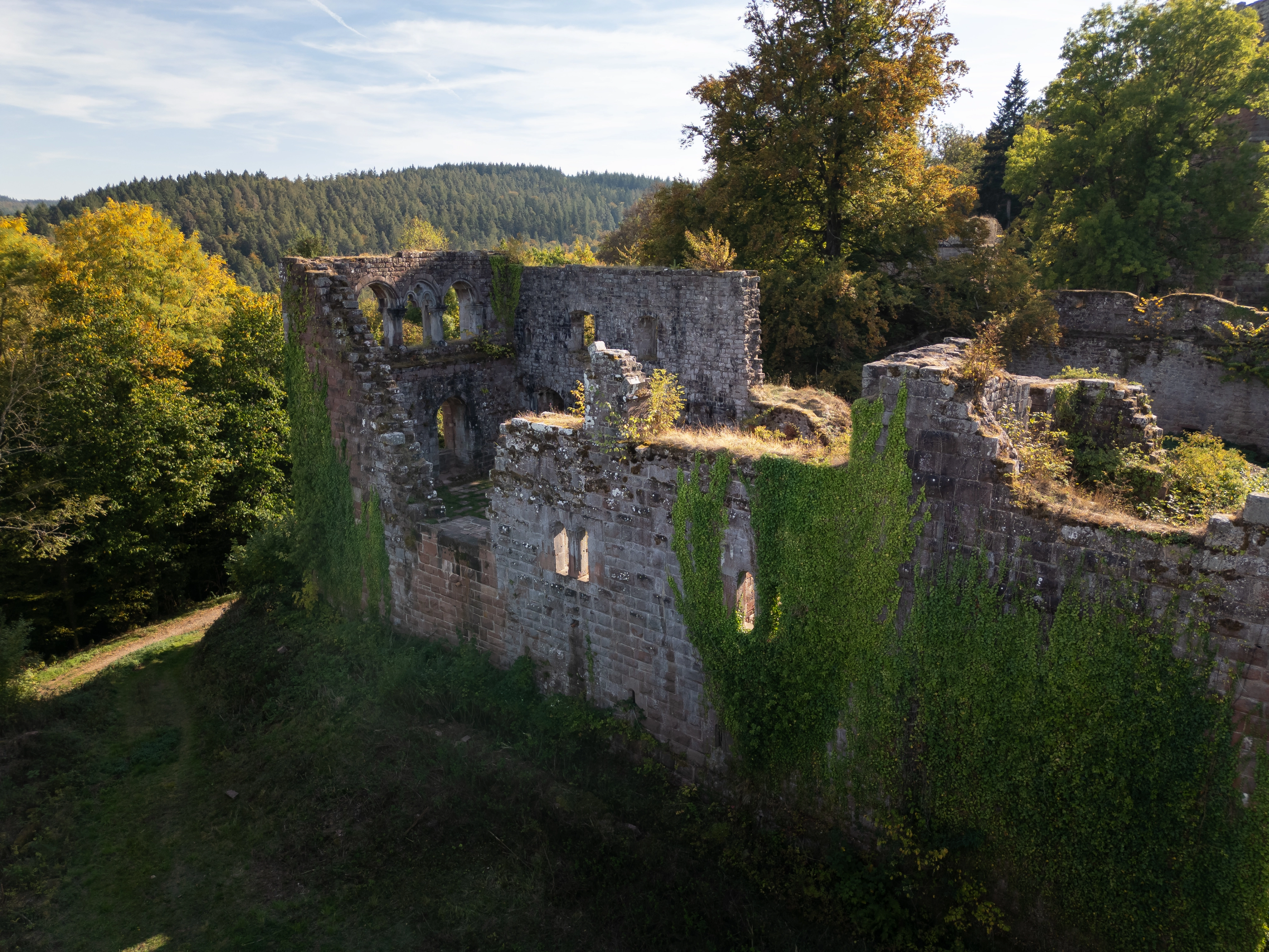 Blick von Nord auf den Palas der Burg Wildenburg