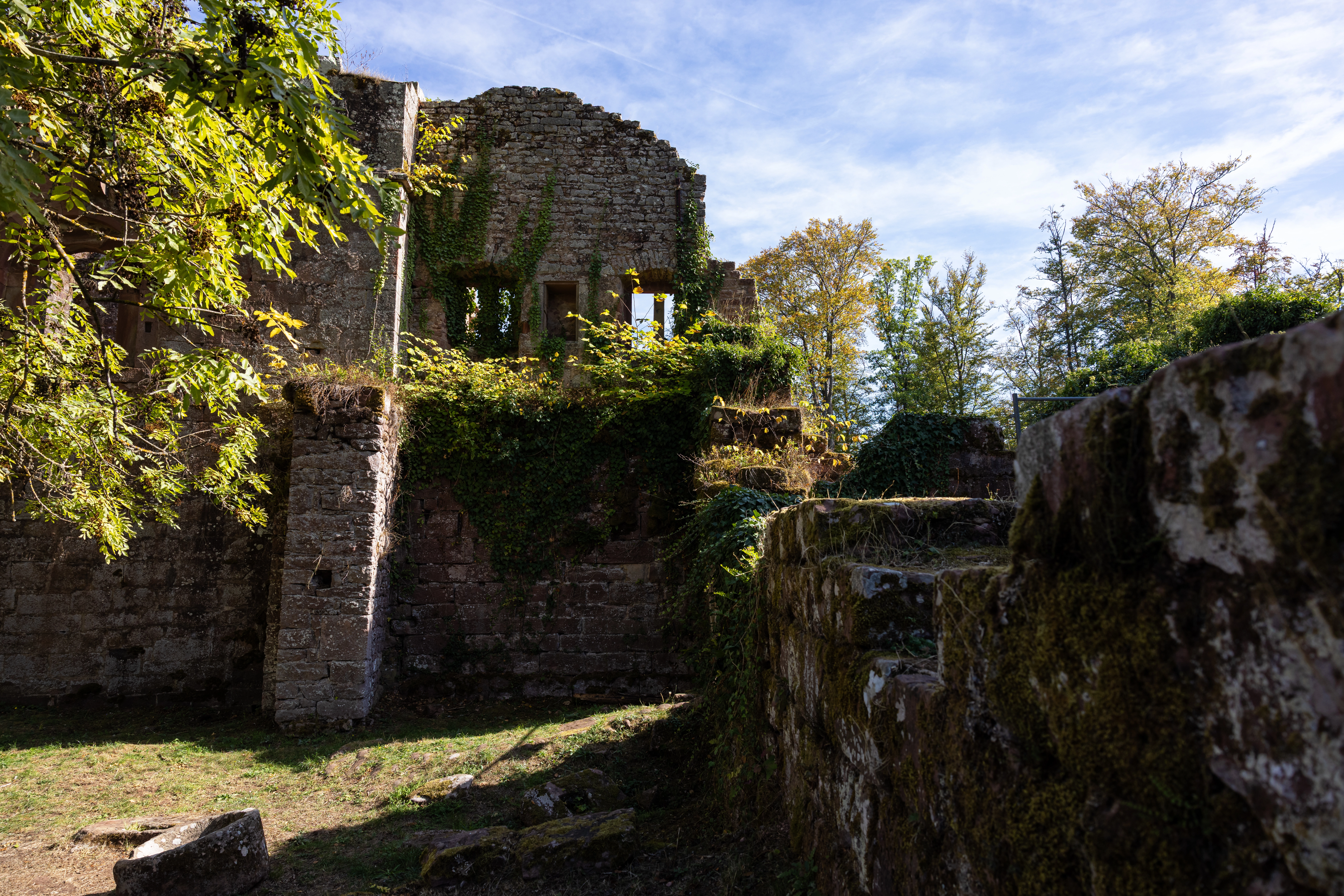 Reste des Torturms Burg Wildenberg